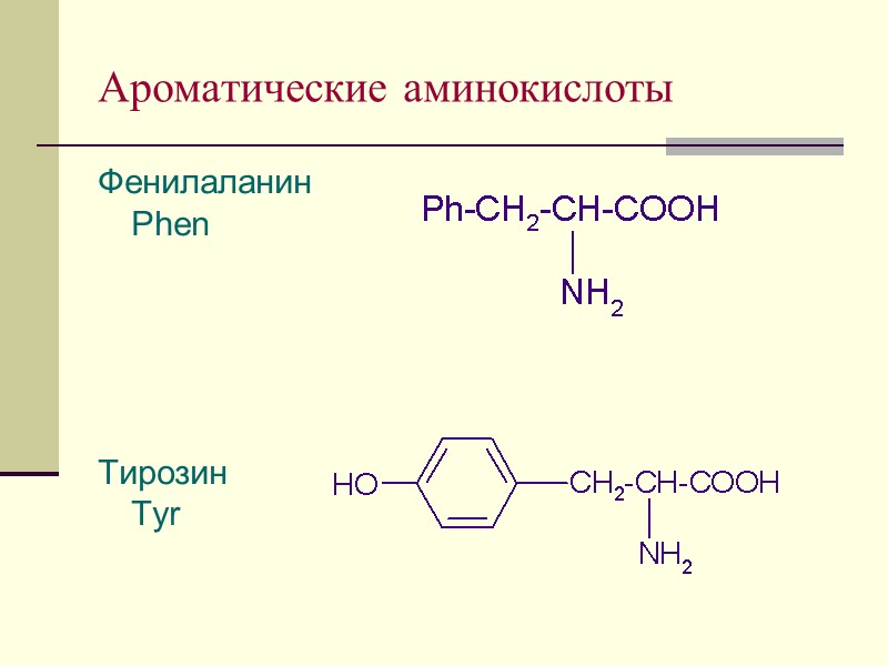 Ароматические аминокислоты  Фенилаланин          